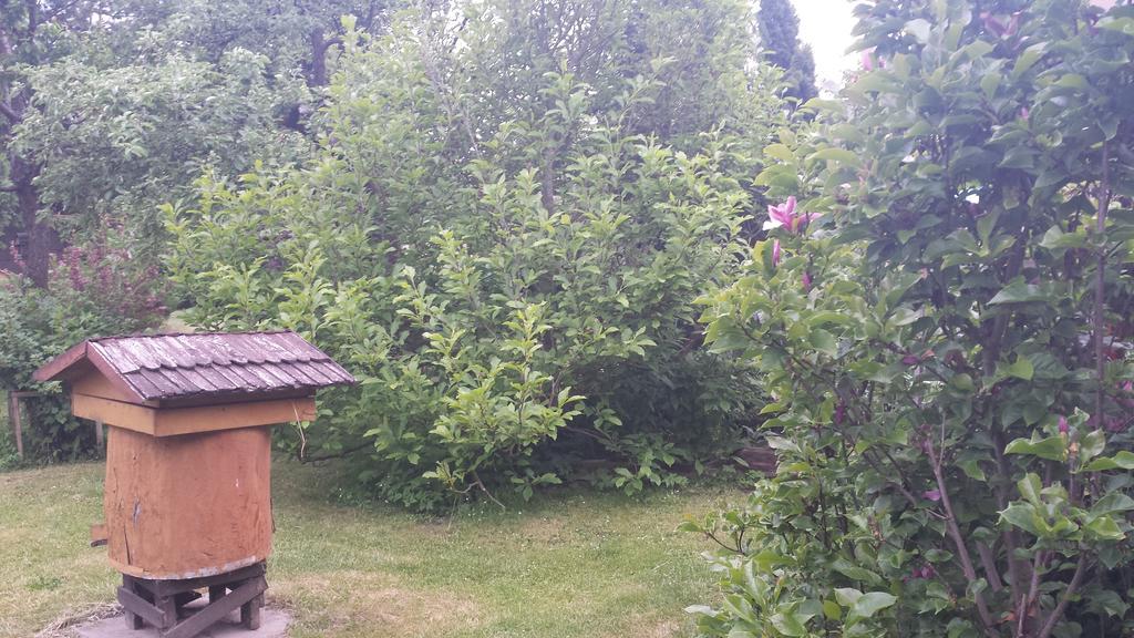 Kwiatowa Zagroda Białowieża Екстериор снимка