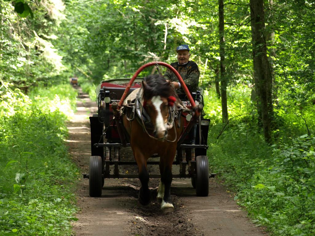 Kwiatowa Zagroda Białowieża Екстериор снимка